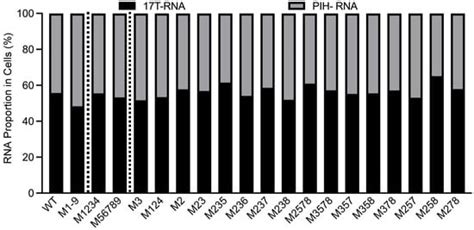 Viruses | An Open Access Journal from MDPI