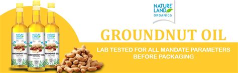 Natureland Organics Groundnut Oil/Peanut Oil 1 Ltr - Cold Pressed ...