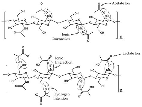 How Molar Mass, Acid Type, and Coagulation Bath Composition Influence ...