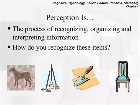 Perception Tutorial 的图像结果