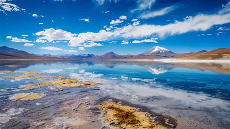 145 Fun Facts About Bolivia That Will Amaze
