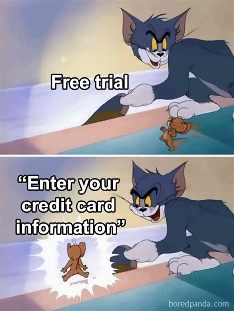 Computer Science Memes 的图像结果