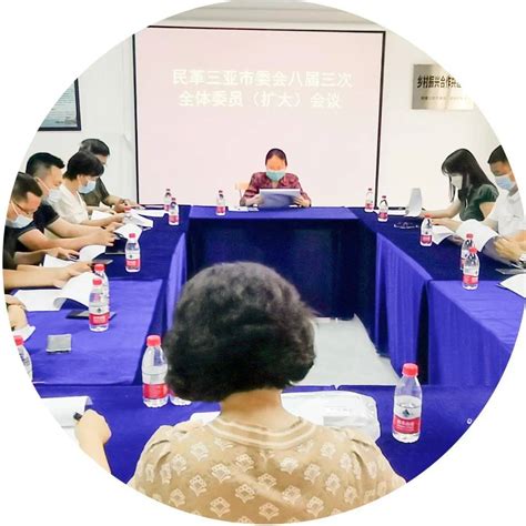 民革三亚市委会召开八届三次全体委员（扩大）会议_两会_讲话_王文荣
