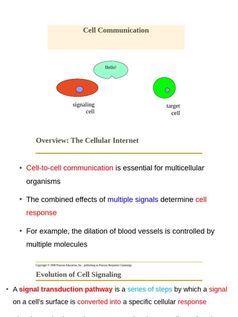 Cell Communication Concept Map 的图像结果