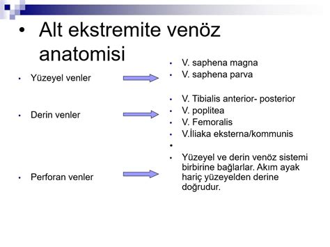 Kronik Venöz Hastalık - Prof. Dr. Uğur Bengisun