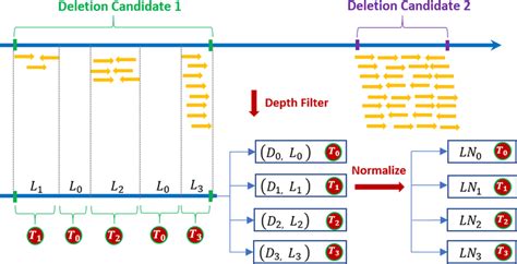 Image result for Deletion Algorithm