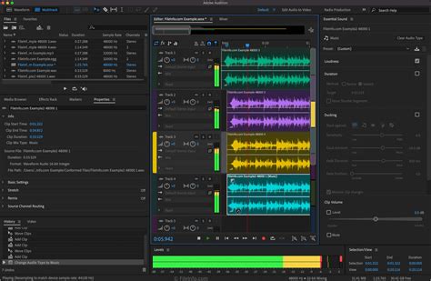 Adobe Audition 2023 - Supported File Formats