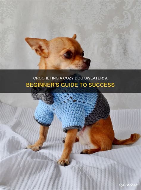 Image result for Dog Sweater Crochet Tutorial