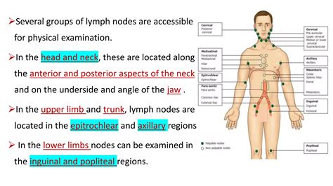 Lymph nodes examination | PPTX