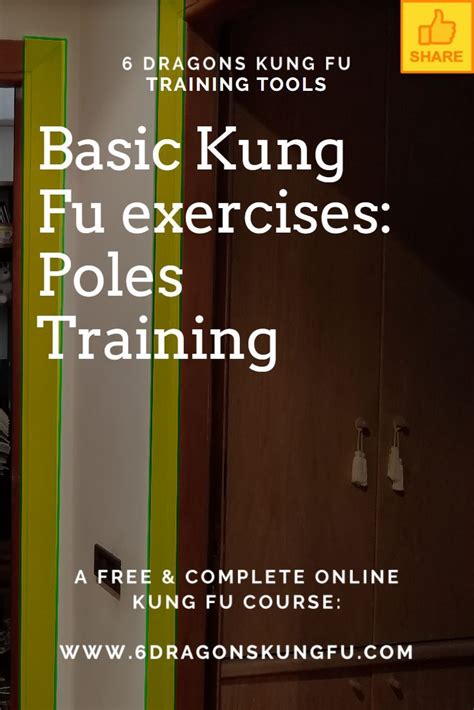 Basic Kung Fu Techniques 的图像结果