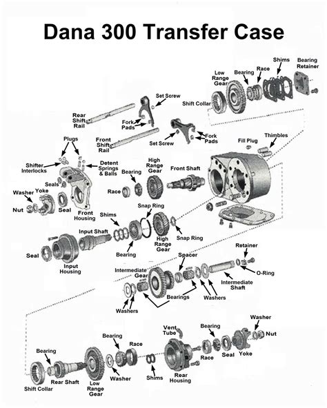 Dana 300 Transfer Case Parts Diagram at Katie Butters blog