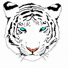 White Tiger Clipart by White Tiger Clipart Clipart Panda Free Clipart Images White Tiger Clipart