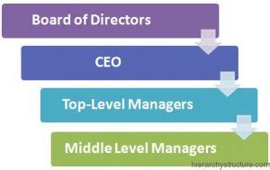 Business Development Hierarchy Structure 的图像结果