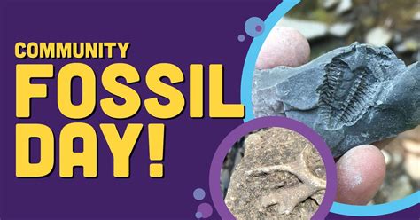 Community Fossil Day - Lewis Township, 7597 OH-505, Felicity, OH 45120 ...