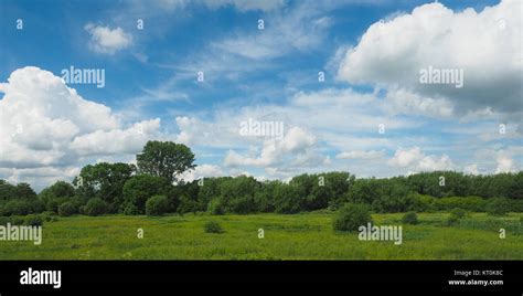 English Country Landscape 的图像结果