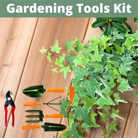 Gardening Tools Kit ( Set of 6 ) – Indian Gardens