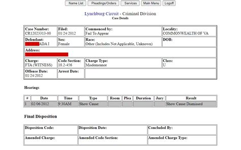 Search Free Lynchburg Public Records: Criminal, Marital, Court ...