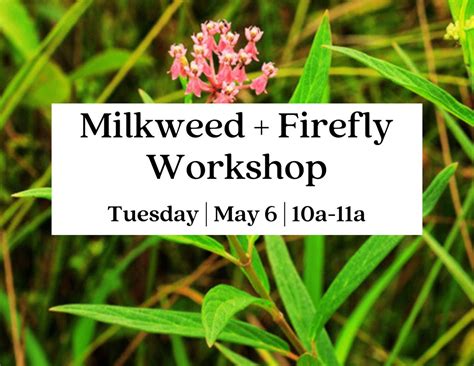 Milkweed + Firefly Workshop, 152 Orvin Lance Drive, Blue Ridge, GA ...