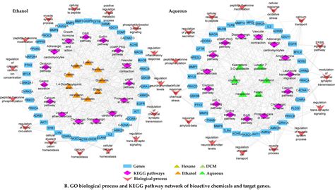Possible Mechanisms Underlying the Antispasmodic, Bronchodilator, and ...