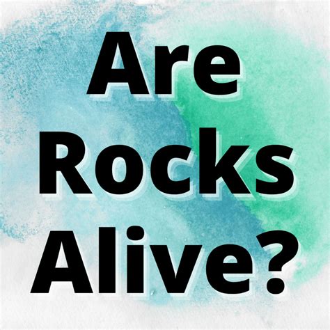Are Rocks Alive? (The Answer Might Surprise You) - Yes Dirt