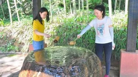 东莞旅游必去十大景点（东莞好玩又免费的地方） - 含鄱口