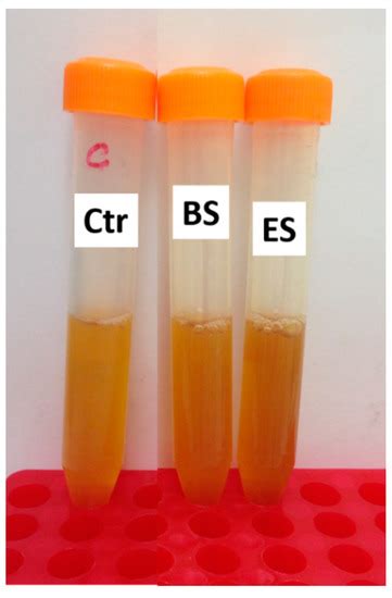 Chemical and Antimicrobial Effects of Air Non-Thermal Plasma Processing ...