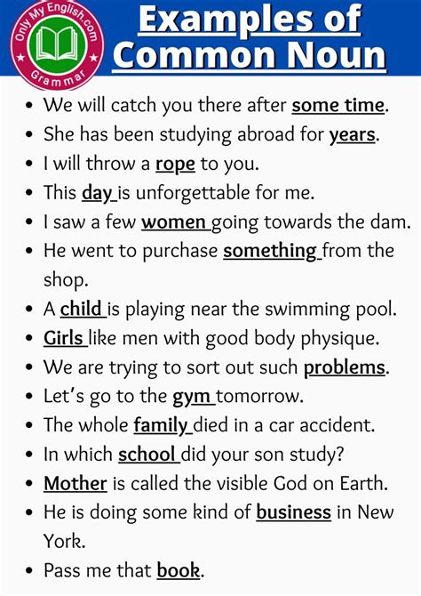 20 Examples Of Common Nouns In Sentences - Design Talk