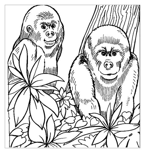 Jungle Animals coloring pages - Printable coloring pages