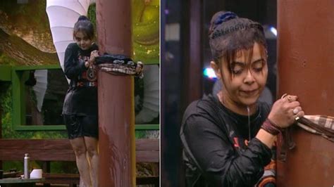 Bigg Boss 15 Episode 92 Written Update: Devoleena pees her pants after ...