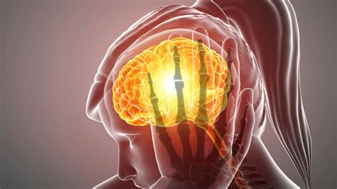 Non-alcoholic Fatty Liver Disease (NAFLD): What really causes it and ...
