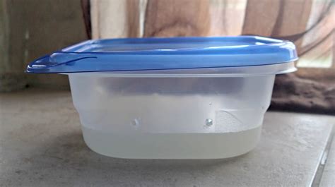 DIY Ant Trap - Simple And Effective