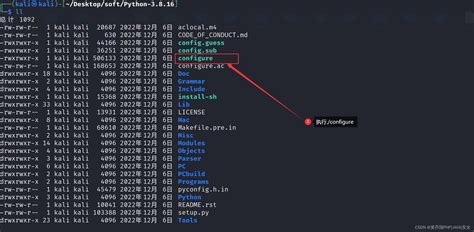 Image result for Python Kali Linux