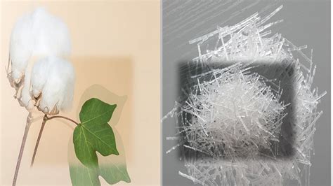 Textile 的图像结果