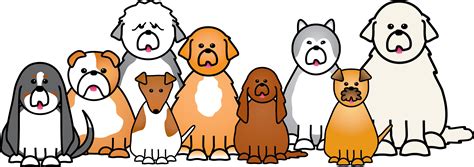 Small pets clipart 19 free Cliparts | Download images on Clipground 2026