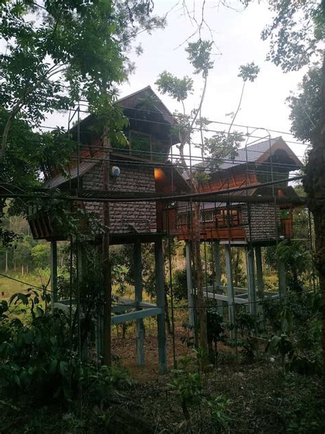 Premium Tree House Surrounded by Greenery: Your Wayanad,Kerala Getaway ...