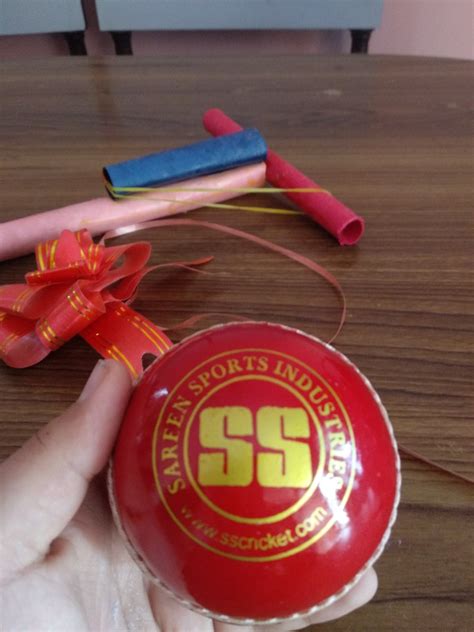 SS True Test Cricket Ball in Blister Packing (Red) : Amazon.in: Sports ...