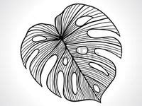 Image result for Science Magic Tricks for School