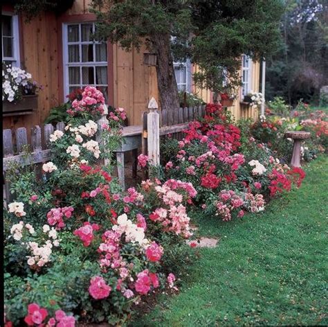 Small Cottage Gardens 的图像结果