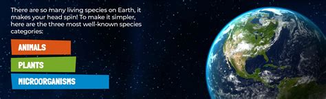 Life 的图像结果