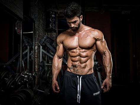 Gym Workout Man 的图像结果