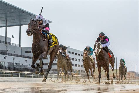 Busher Stakes 2024 | Aqueduct Replay [Kentucky Oaks]