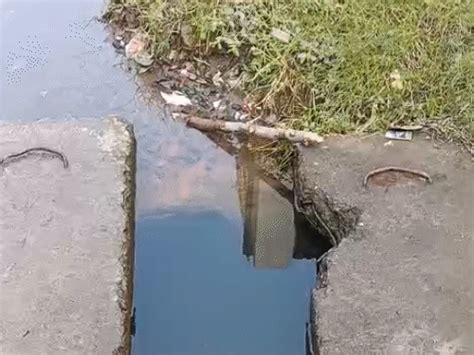 Ayodhya Extension Water Supply Sewage Mix | Bhopal Contaminated Water ...