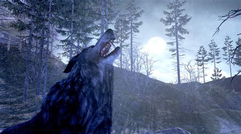 Cabelas Dangerous Hunts 2011 : Activision Inc: Amazon.in: Books