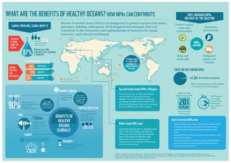 Protection of Ecosystem 的图像结果