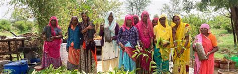 Gallery | Mine Labour Protection Campaign (MLPC)