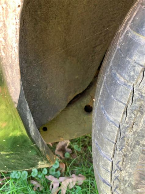 Image result for LS3 Engine 86 Regal