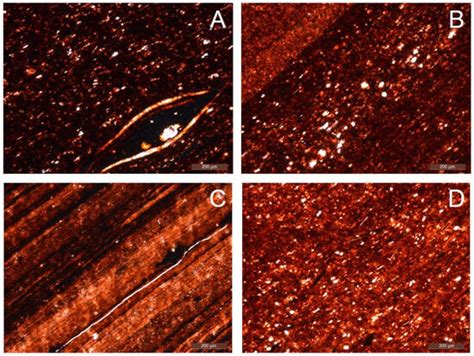 Pore Structure and Factors Controlling Shale Reservoir Quality: A Case ...