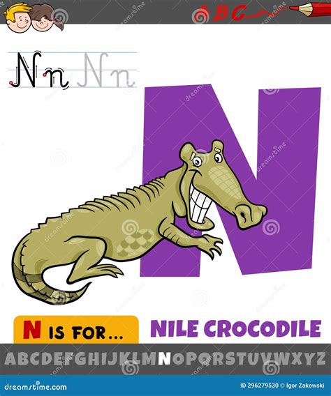 Letter N from Alphabet with Cartoon Nile Crocodile Animal Stock Vector ...