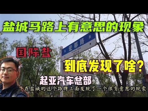 他们，为什么来盐城？ -盐城新闻网