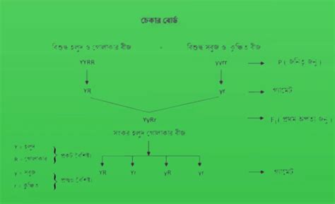 Class 10 Model Activity Task Part 8 Life Science 的图像结果